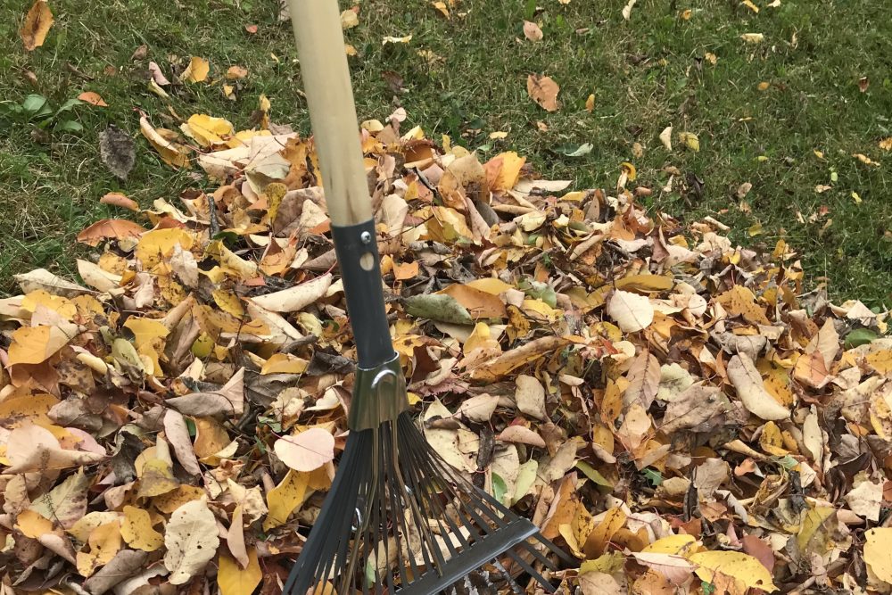 Collecte de feuilles mortes et de résidus verts : l'inscription est  obligatoire - Ville de Shawinigan