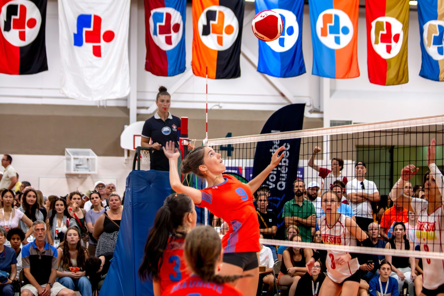 Poster Mural Fille Volley-ball - Passion Volley - Pratique Et Compétition - Déco Adulte